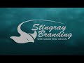 Hear from Stingray Branding clients about their experience.