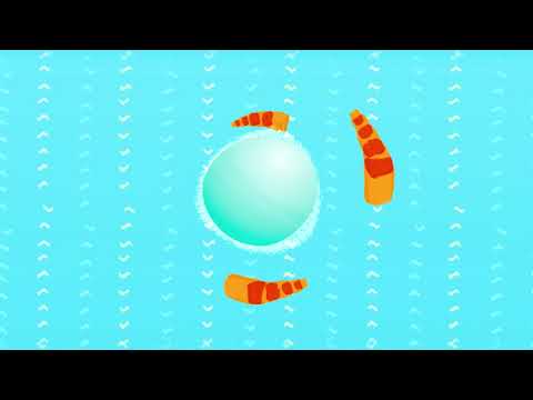 Grey Tapes - Do It Right