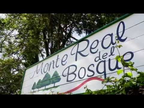 Residencial Monte Real del Bosque-La Ceiba