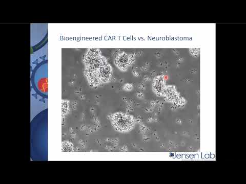 Scientist Stories: Michael Jensen, Pioneer in Cell Therapies and Co-Founder of Juno Therapeutics