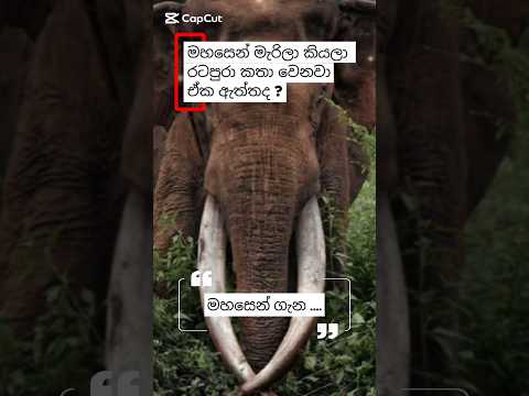 MAHASEN - මහසෙන් 🐘👑️🇱🇰