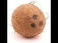 Coconut Method To Break Free From Curses, Blockages, Bad Luck And Open Up Your Life