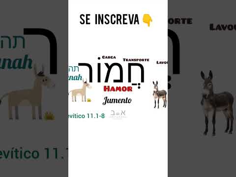 Jumento em Hebraico