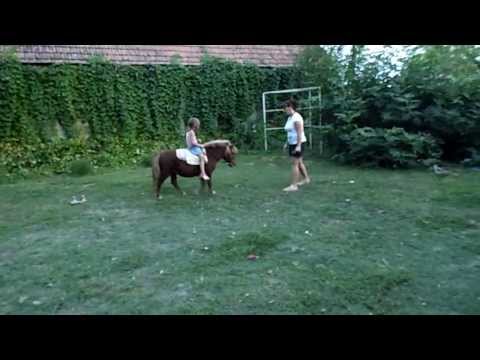 Zoé lovagol 2013.08.13.