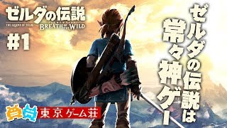 【ゼルダの伝説】実況#1