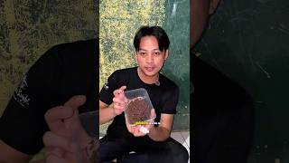 Download lagu Mancing galatama lele !! Pake umpan ini auto gacor parah ⁉️#fishing #mancing #ikan #fish #shorts mp3 Download lagu Mancing galatama lele !! Pake umpan ini auto gacor parah ⁉️#fishing #mancing #ikan #fish #shorts mp3