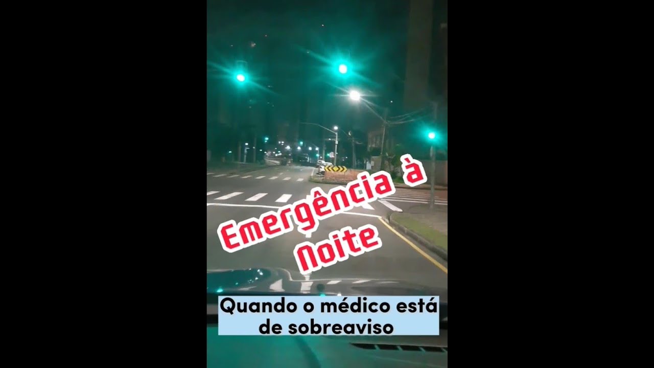 Luana Antunes Maranha Gatto-10