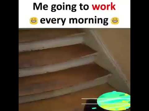 download lagu mp3 mp4 Daily Funny Status, download lagu Daily Funny Status gratis, unduh video klip Daily Funny Status