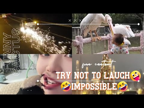 Try Not to Laugh! 🤯 No One Can Stay Serious!🤣