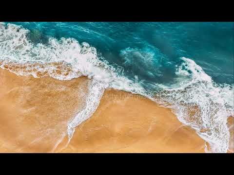 Goa's Secret Sands 2024