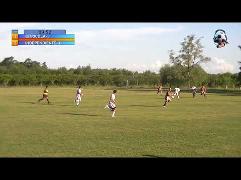 CITRICOLA 2-2 INDEPENDIENTE - CATEGORIA JUNIORS 2026