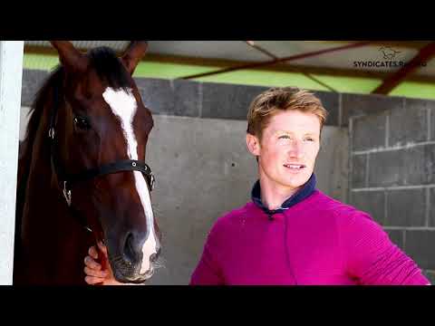 Episode 1: Following the #BargainBreezers