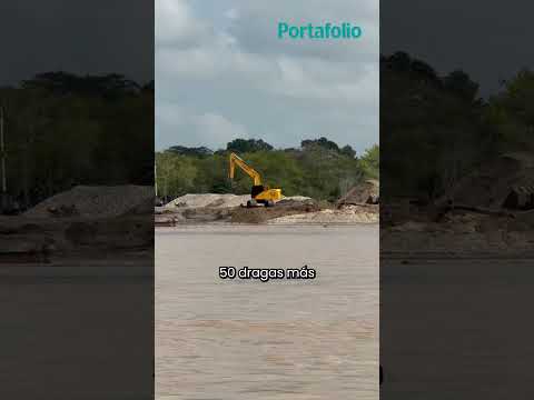 La minería ilegal sigue expandiéndose en el Bajo Cauca antioqueño | Portafolio