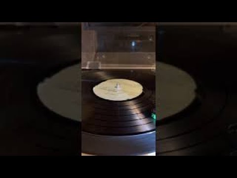 Raymond Scott The Tobacco Auctioneer 1939 from a private Acetate