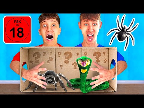 WAS IST IN DER BOX Challenge! 🤢 (EXTREM)