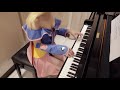 Clip 2