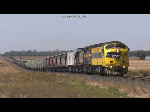 AUSTRALIAN GRAIN TRAINS ACROSS VICTORIA - 15 Different Locomotives from 3 different states
