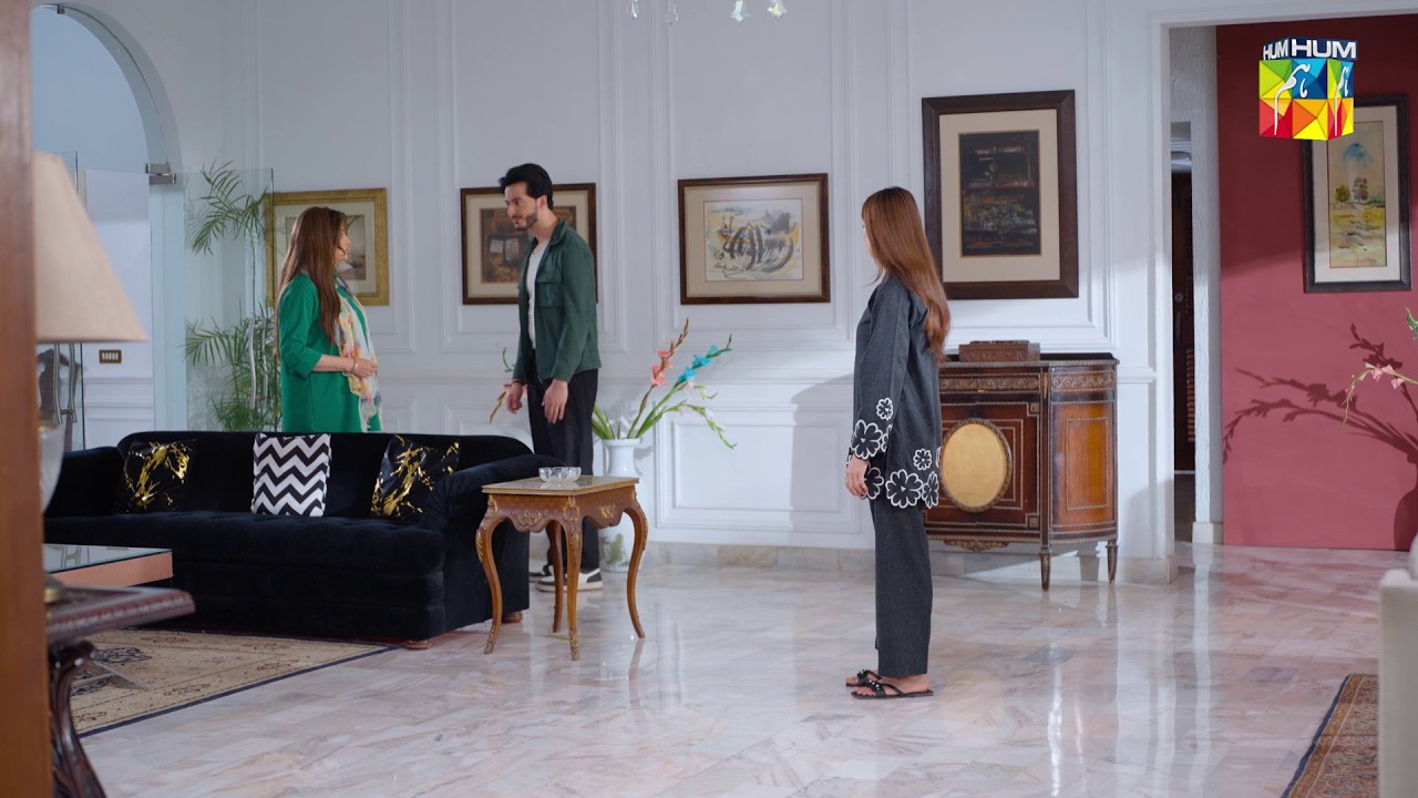 Tumhari Himmat Kesay Hui Aniza Se Milnay Ki..! #hinatariq - Aye Dil Aazma Nahin - HUM TV