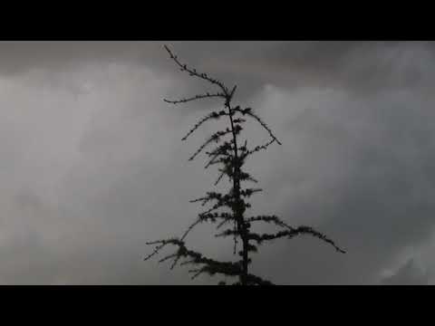 Dry storm left white sunset / Suha nevihta je pustila bel sončni zahod