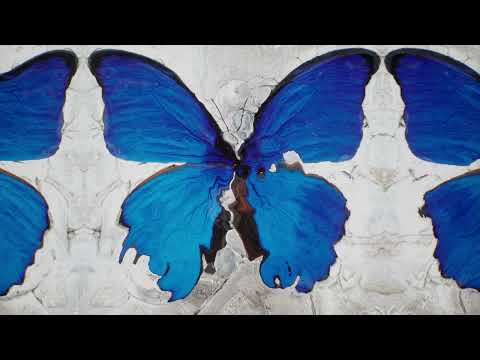 Video thumbnail for Angel