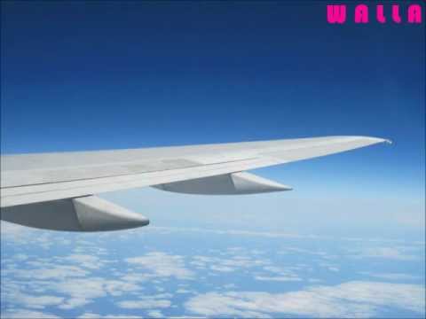 WALLA - Plane Ride (Animal of Love EP)