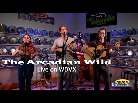 The Arcadian Wild - Full Performance | WDVX Blue Plate Special