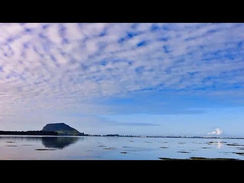 𝑊𝑎𝑔𝑎𝑤𝑎𝑔𝑎 𝚀𝚞𝚎𝚎𝚗 - 𝐁𝐚𝐡𝐚𝐤𝐢 𝑺𝒍𝒂𝒃𝒔