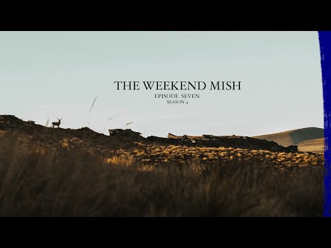 Hunting Roaring Red Stags - New Zealand - We've Found Him...