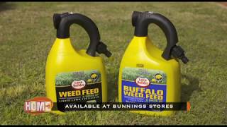 Scotts Australia        Buffalo / Lawn Weed & Feed  15th September 2018  (614)