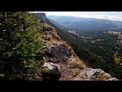 Pietrele Albe - Cascada Valul Miresei - Rachitele