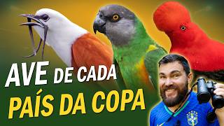 Miniatura do vídeo