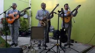 LOS SEMEJANTES, LLUEVE SOBRE MOJADO