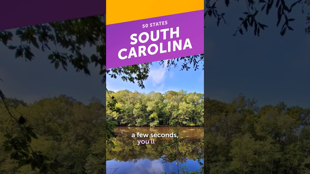 Why Indigo Blue Became an Official State Color - South Carolina 3-Minute Guide