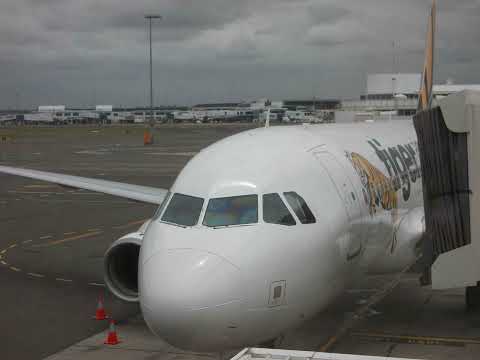 Three Basses Playing in Harmony (2015)