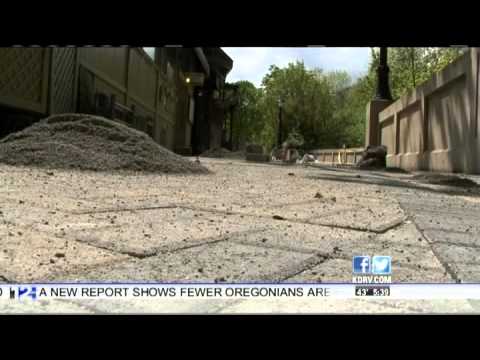 Ashland Parks Weighs in on New "Calle"