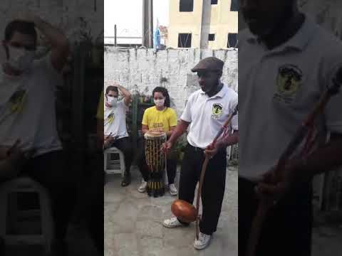 Live do dia 28.11.2020