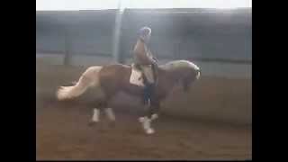 Video von Wolkenwind