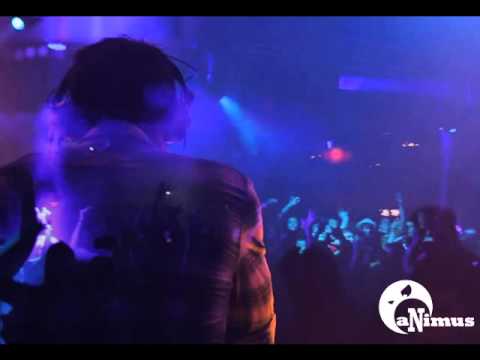 Hot Chip & Sasha vs. Paul Kalkbrenner - Flutes, Sky & Sand (aNimus Sunset Bootleg)