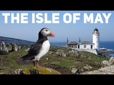 Island adventures and puffin spotting on the magnificent Isle of May on the Firth of Forth, Scotland