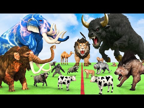 5 Giant Mammoth Elephant Cow Vs Giant Indian Bison Vs 5 Giant Lion Tiger Saved By Woolly Mammoth