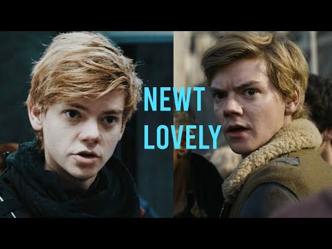 Newt - Lovely