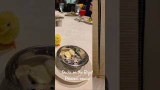 Ducks on the Regal Princess cruise, finding them on dinner plate and around the ship #cruise
