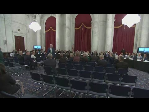 Senate hearing on AI held as senators consider regulating the technology