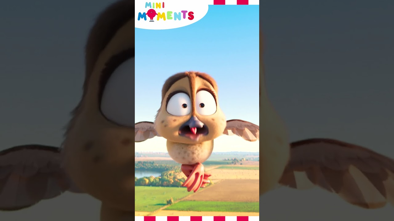 Pooping In The Sky! 🐥 🫣  | Migration | Mini Moments #minimoments #migration  #shorts