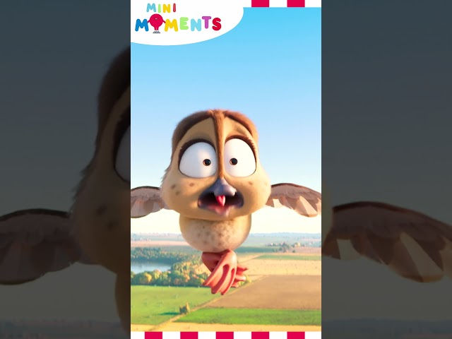 Pooping In The Sky! 🐥 🫣  | Migration | Mini Moments #minimoments #migration  #shorts SDDEFAULT Thumbnail