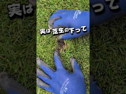 なぜ堆肥に灰を入れるのですか？潜在的な利点とリスク  庭園