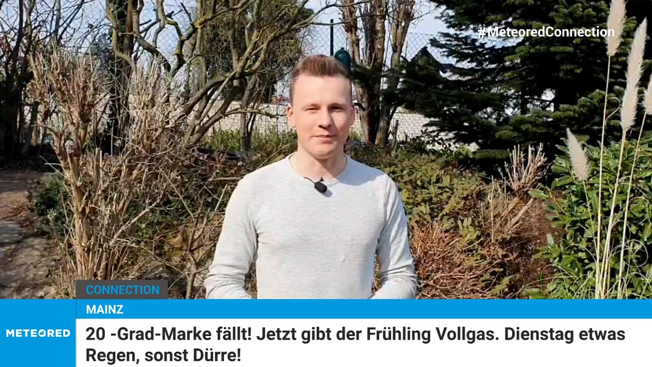 youtube video id=oi7FOoVutps