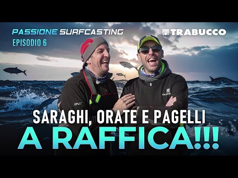 Nighttime Surfcasting: Gulping White Bream, Gilt-Eyed Bream, and Red Porgy in Sardinia | Passione...