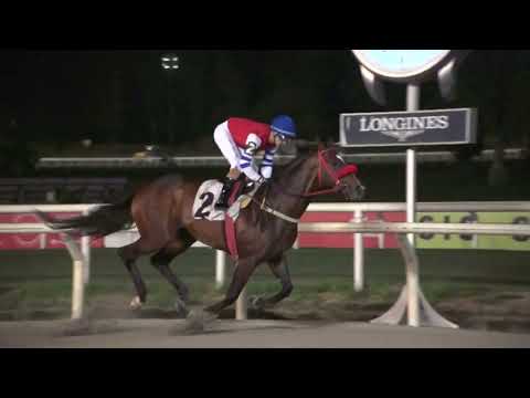 230805 c06 VIP AVENUE