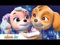 PAW Patrol Pups Transform Into Mermaids W Skye Zuma Marshall Nick Jr